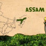 Assam