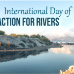 International Day of Action for Rivers