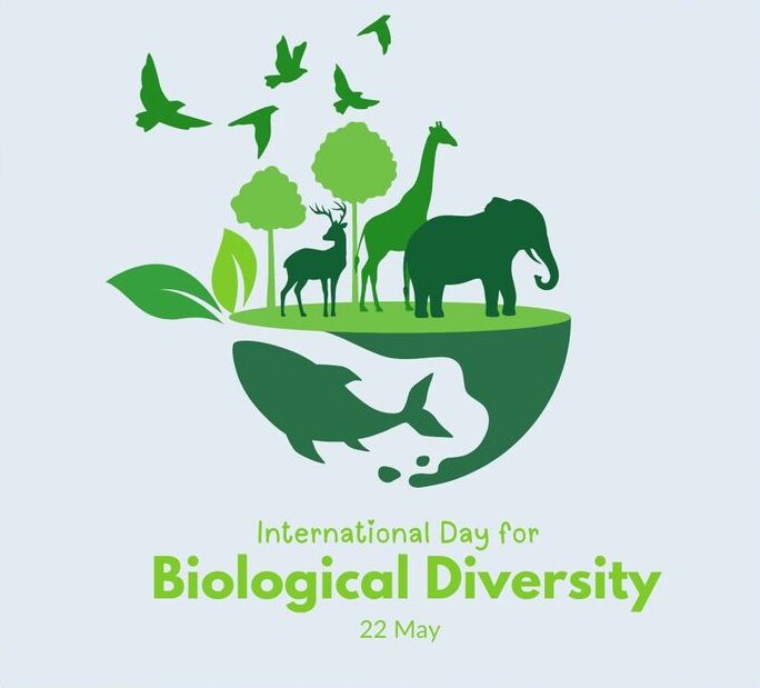International Day for Biological Diversity