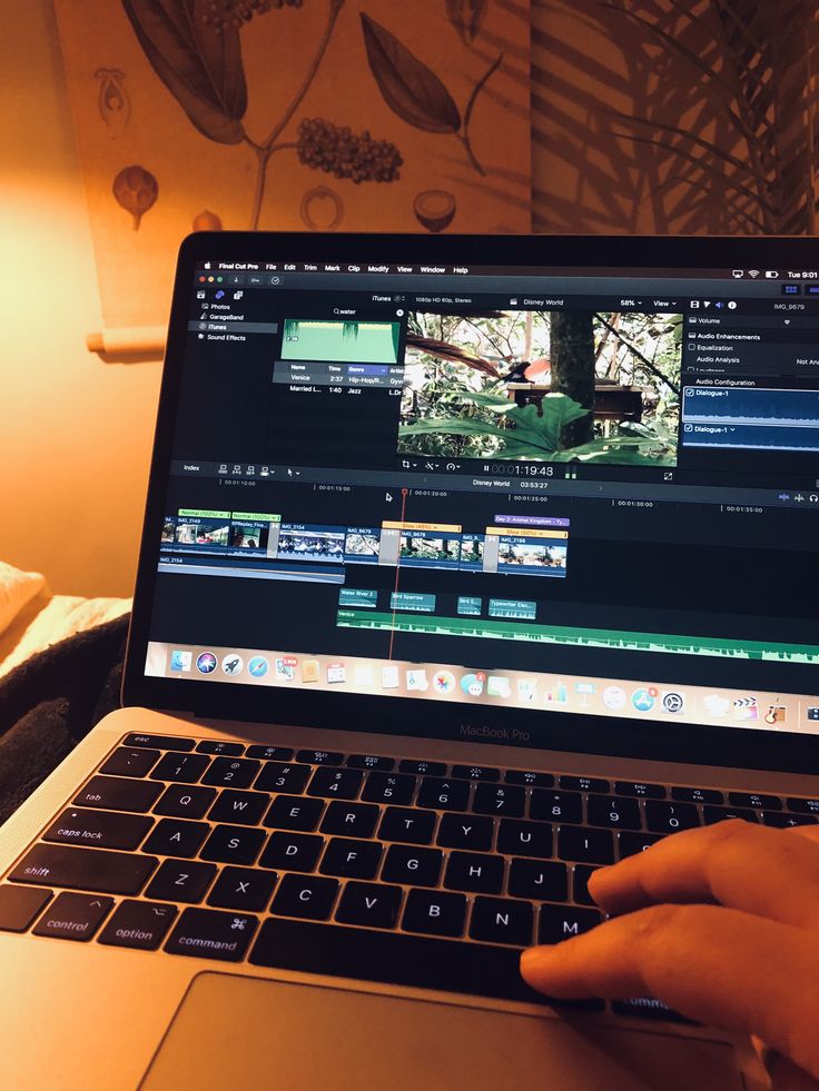 Final Cut Pro X