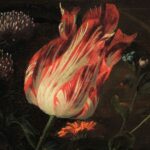 History of Tulip Mania
