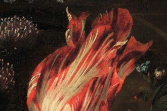 History of Tulip Mania