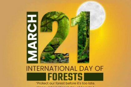 International Day of Forests