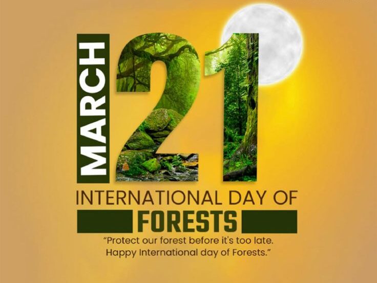 International Day of Forests