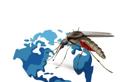 World Malaria Day