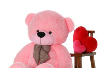 Teddy Day 2025