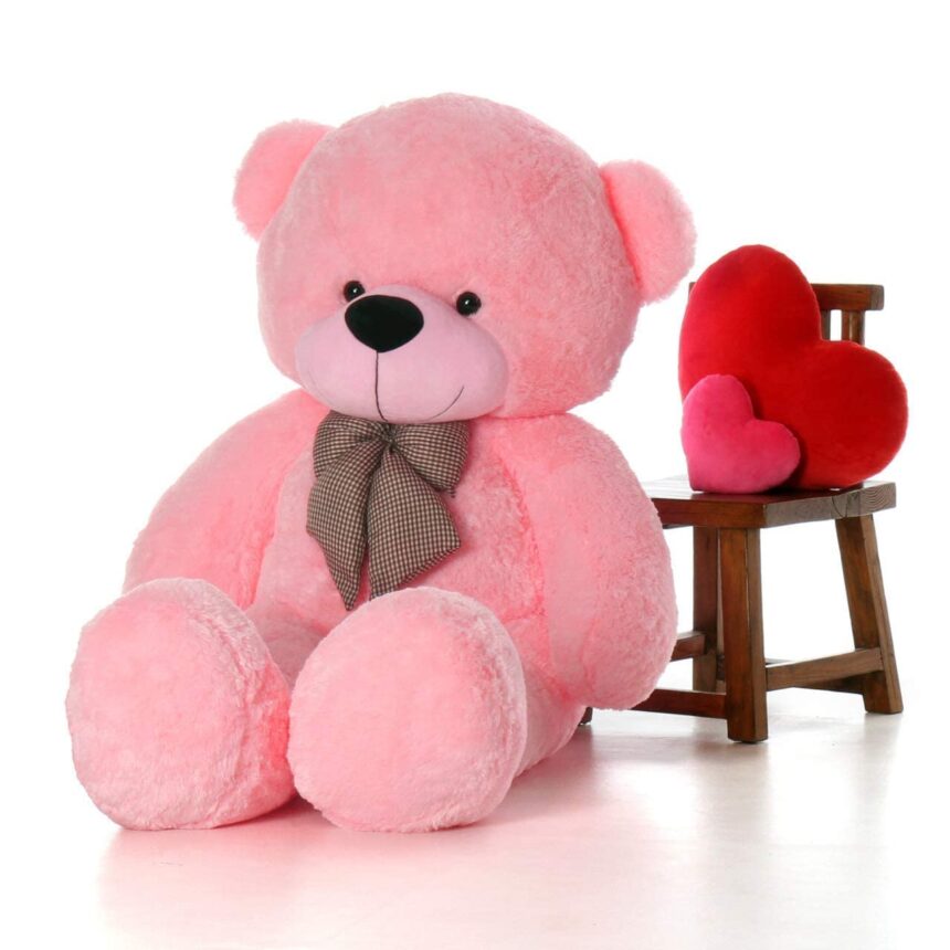 Teddy Day 2025