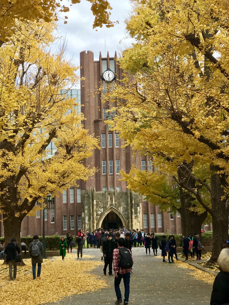 University of Tokyo