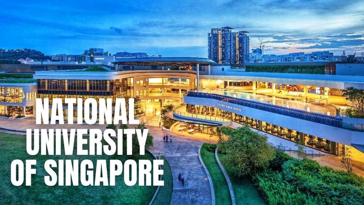 National University of Singapore