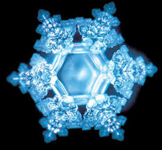 Masaru Emoto experiment