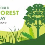 World Forestry Day