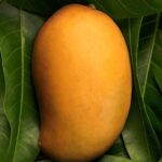 National Fruit of India