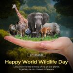 World Wildlife Day 2025